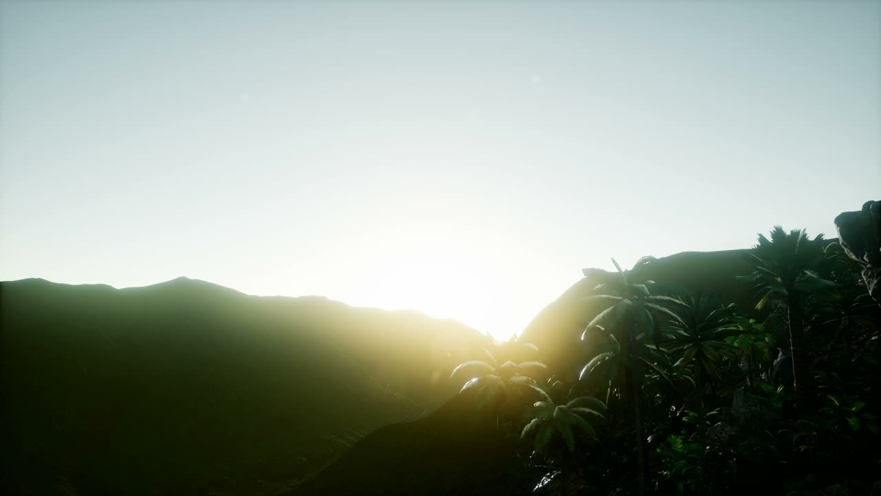 los rayos del atardecer a través de las palmeras