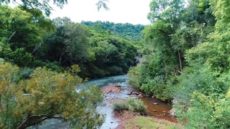 A-beautiful-rocky-river-nestled-amidst-the-dense-jungle,-providing-a-serene-and-picturesque-view-of-the-unspoiled-wilderness