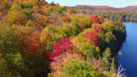 A-vibrant-autumn-forest-by-a-calm-lake-with-reflections-of-fall-colors,-aerial-view