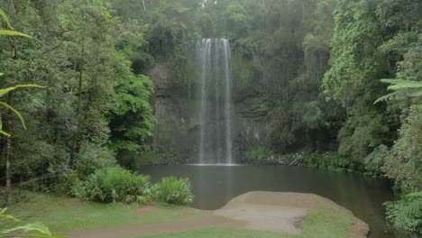 Pintoresco-Paisaje-De-Milla-Falls-Y-Rainforest-En-El-Norte-De-Queensland,-Australia