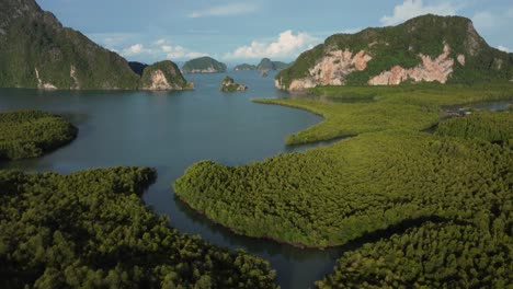 los manglares de la bahía de phang nga y las islas rocosas en la hora dorada