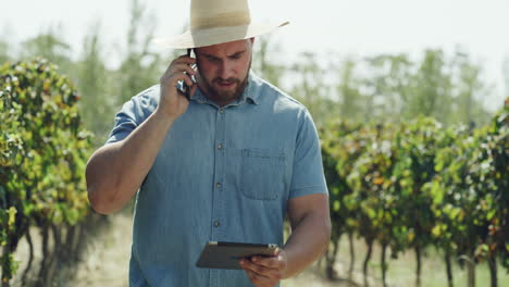 agricultor comprobando el viñedo con tableta y teléfono
