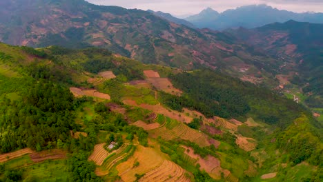 rice farms scattered all over the misty mountains and valleys of northern vietnam