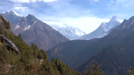 Una-Hermosa-Vista-De-Los-árboles-De-Hoja-Perenne-En-La-Ladera-Con-Las-Montañas-Nevadas-En-El-Fondo