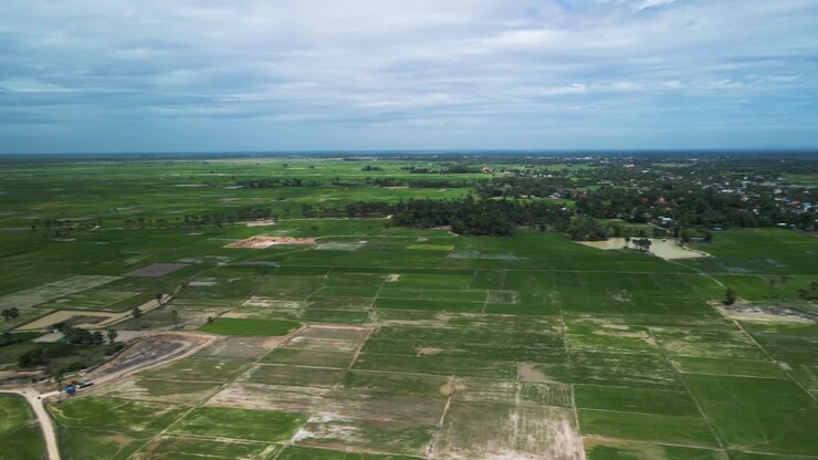 Aerial view of rice paddies ib Cambodia, South east Asia