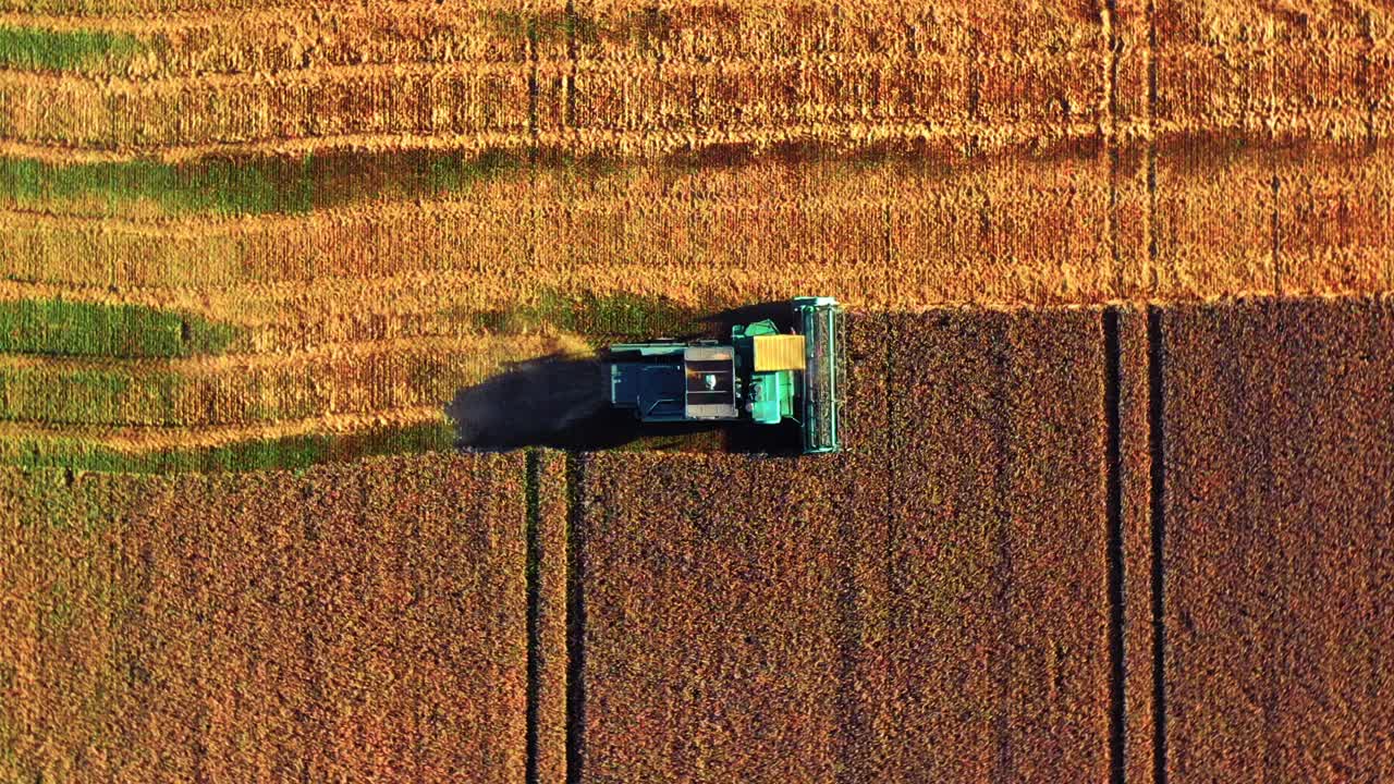 Vista a volo d'uccello di una mietitrebbia su un campo agricolo al tramonto - ripresa da drone.