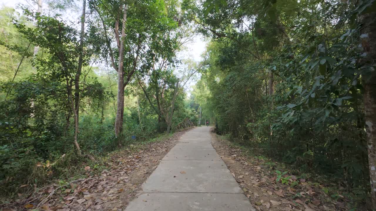 Hiking Trail In Cat Tien National Park, Vietnam - POV