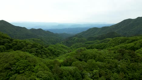 stunning forward drone scenery over wide lush green forest and hills