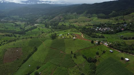 industria agrícola de tailandia