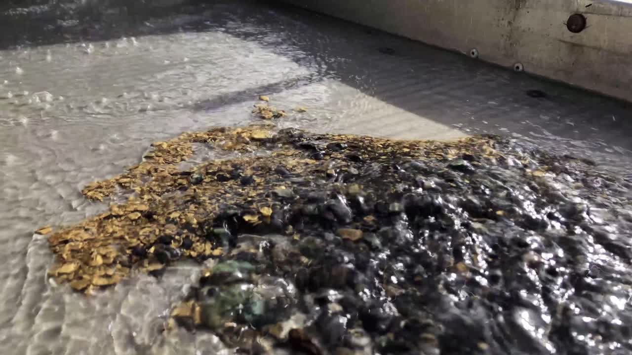 추출된 금 더미는 바위가 있는 수문 바닥에 있습니다, 중간 샷