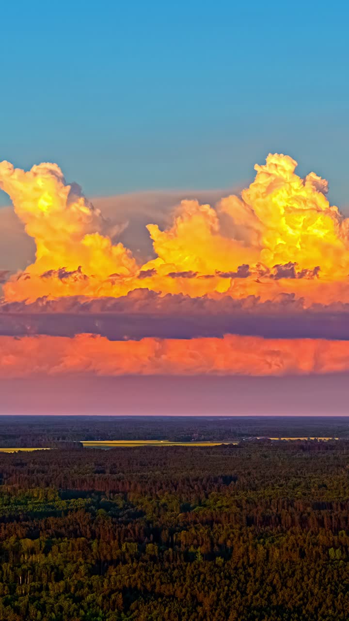 Vertical time-lapse of dramatic cumulus clouds rising over dense summer forest in Latvia. Latvia