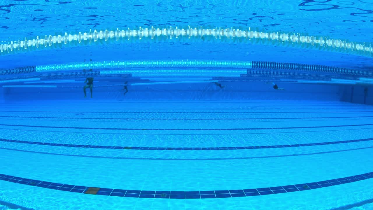 물  ⁇ 에 있는 올림픽 수영장.