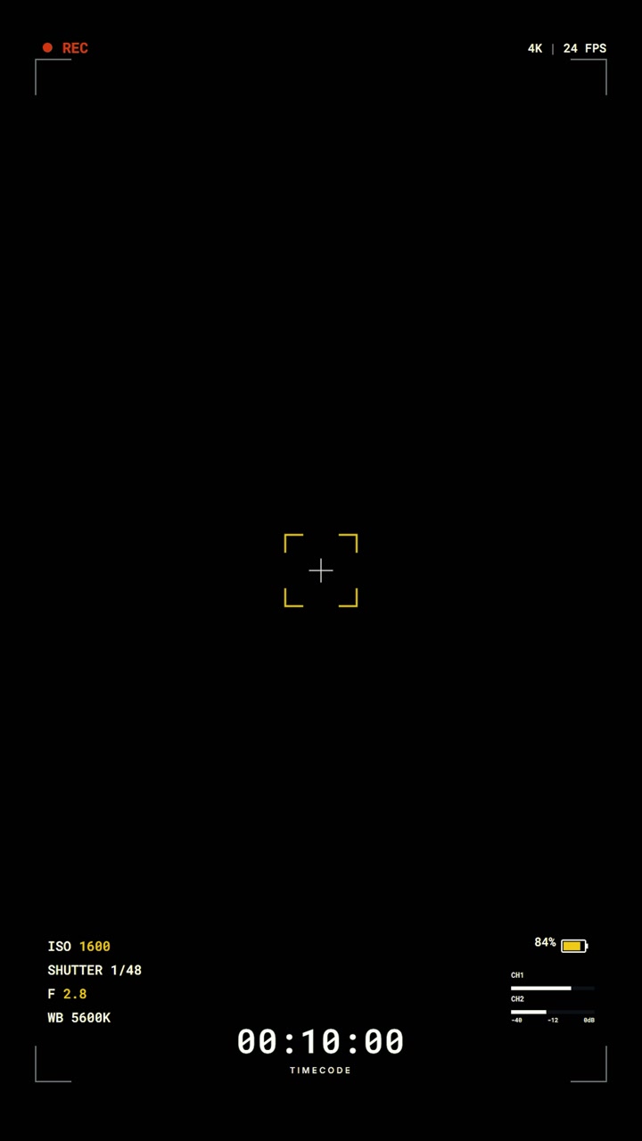 Digital Camera Recording Interface Overlay