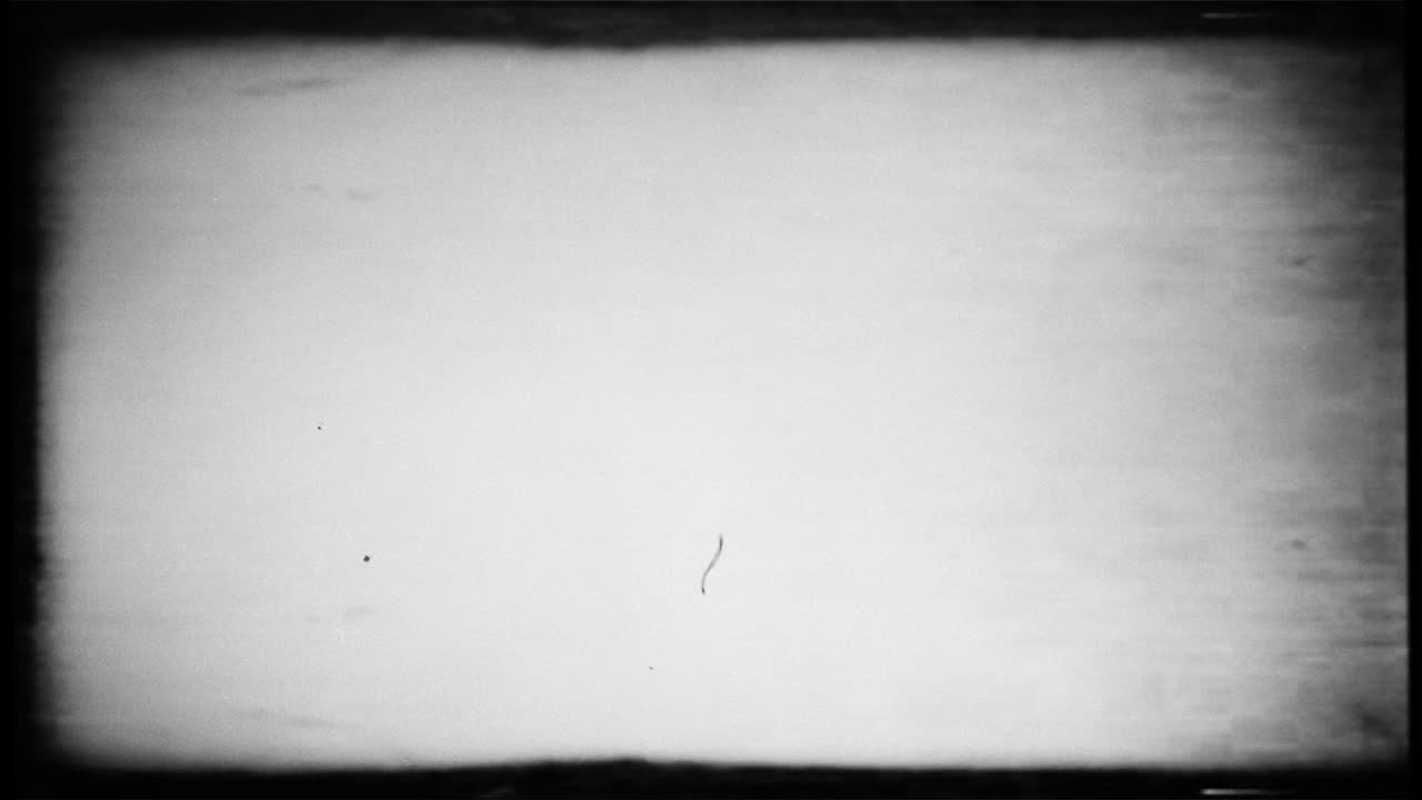 오래된 필름 룩 효과 4k