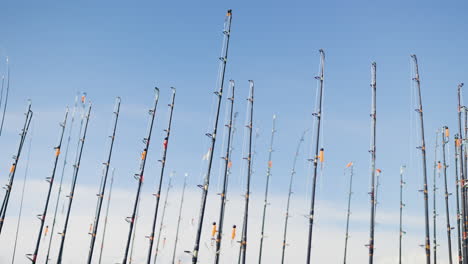 fishing rods
