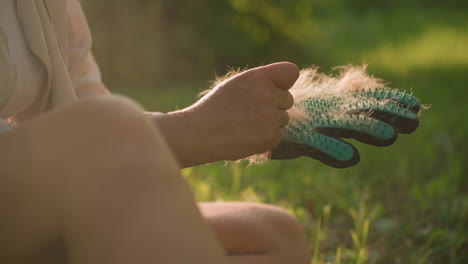 close-up of hand removing collected dog fur from grooming glove, showcasing fur removal details with warm sunlight illuminating the fur strands, greenery in blurred background