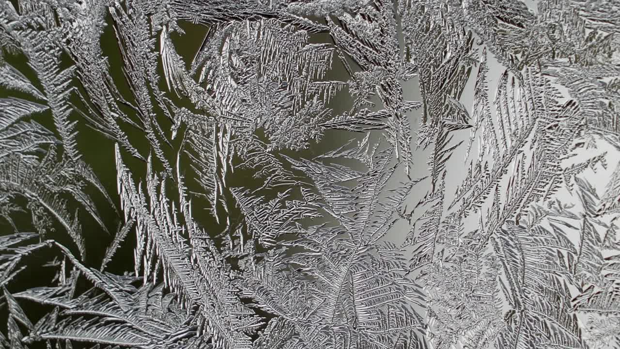 gli alberi ghiacciati nella città invernale