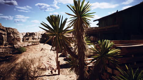 abandoned desert western town