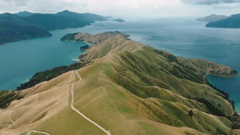 reverse aerial drone of vast, sloping peninsula landscape at te aumiti french pass and turquoise water ocean in marlborough sounds, south island of new zealand aotearoa