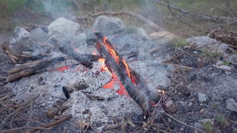 wood buring fire in slowmotion
