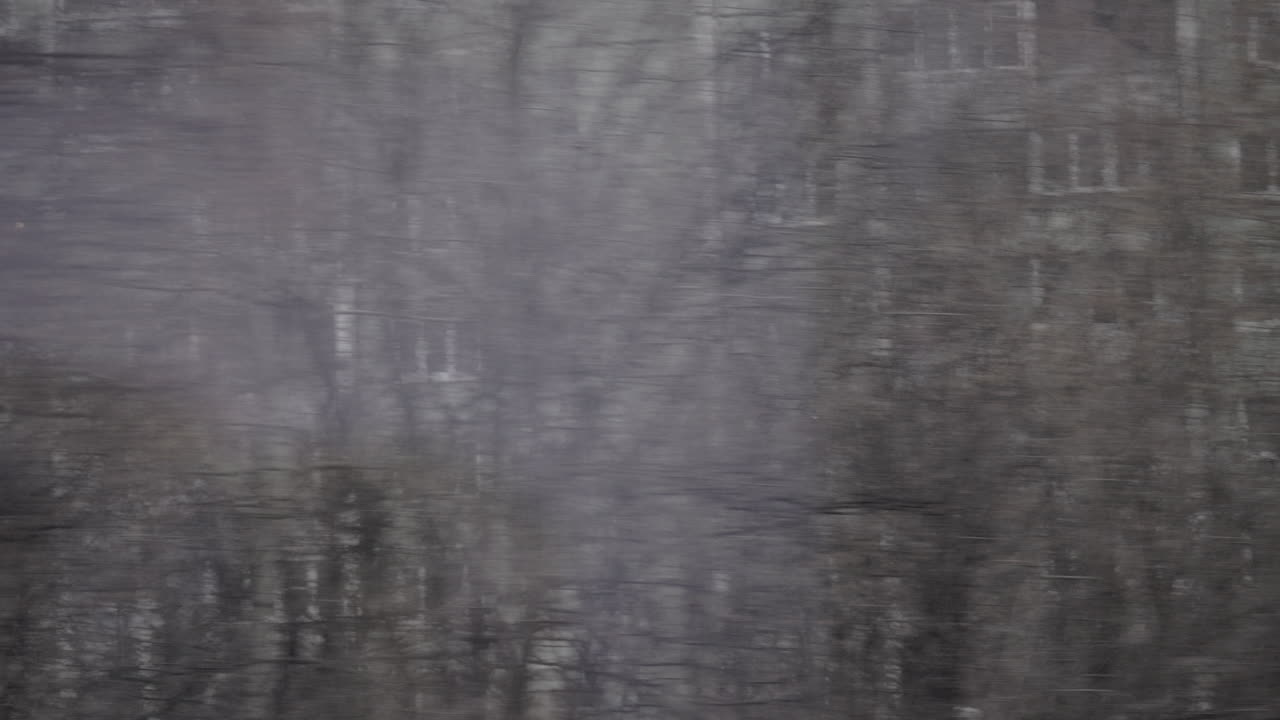 árboles y casas de varios pisos vistas desde un tren en movimiento