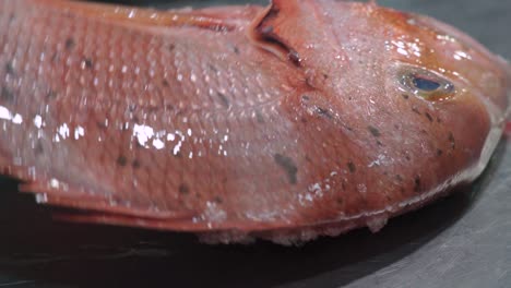 Red-blackspot-sea-bream-being-lifted-off-a-metal-table,-CLOSE-UP