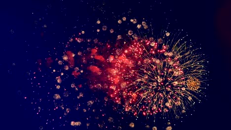 los fuegos artificiales de colores explotan en un cielo oscuro. 4k.
