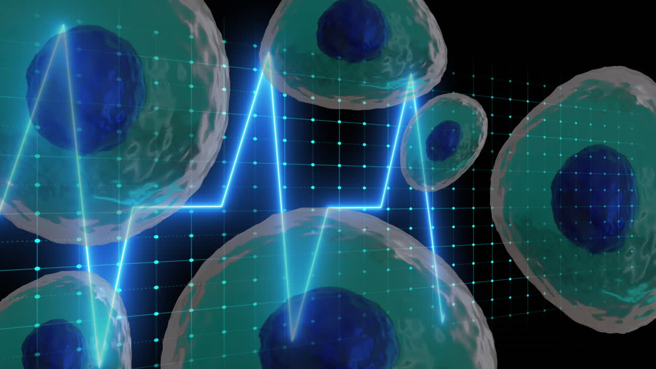 검은 바탕에 심장 박동이 있는 그리드에 있는 인체 세포의 애니메이션