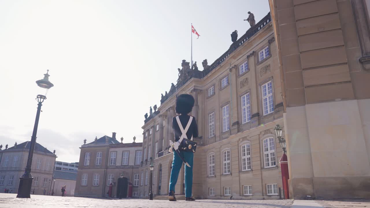 Low angle view of Royal guard in uniform near Amalienborg palace, Copenhagen