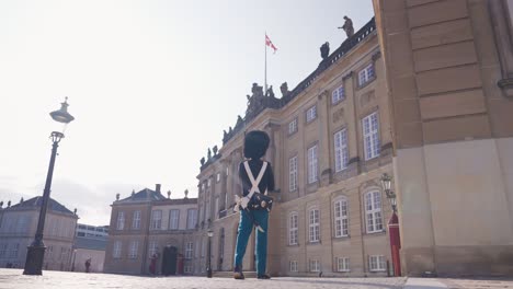 low angle view of royal guard in uniform near amalienborg palace, copenhagen
