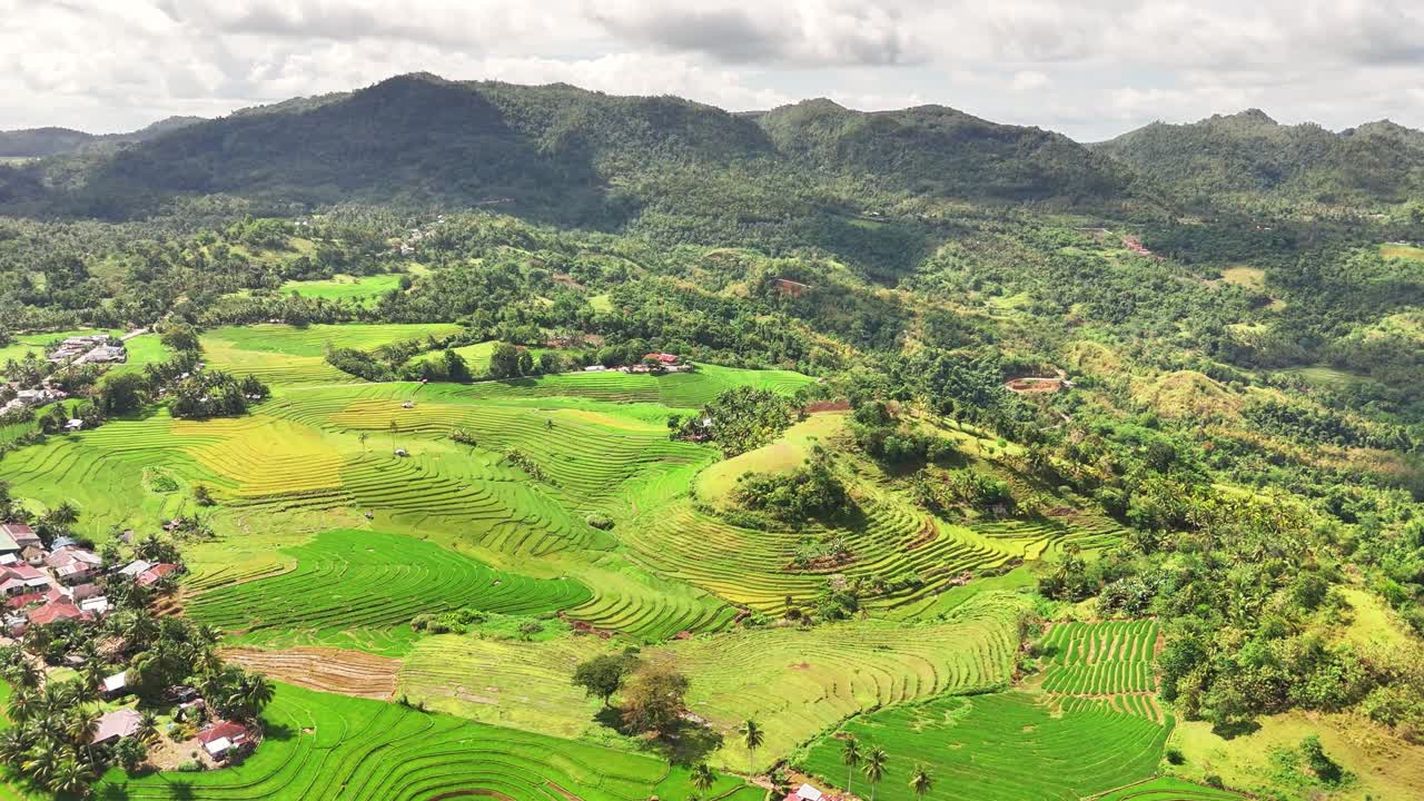 Drone shot of Cadapdapan Rice Terraces in Bohol, Philippines, showing vibrant green paddies, terraced fields, tropical vegetation, and mountainous backdrop in a peaceful rural farming landscape