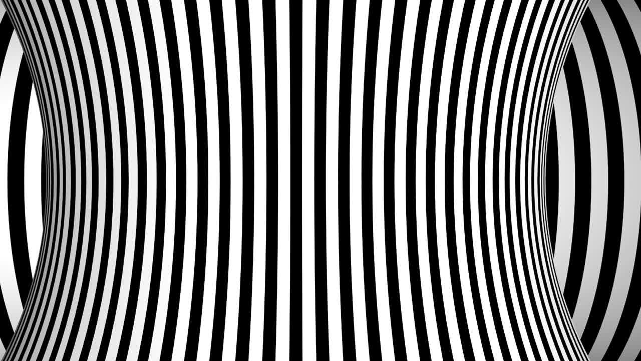 fondo blanco y negro