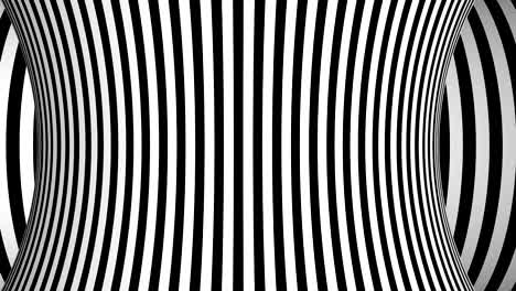 fondo blanco y negro