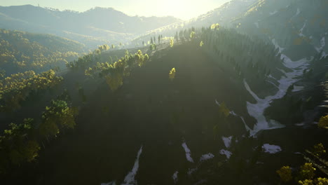 serene mountain landscape at dawn with golden sunlight illuminating trees