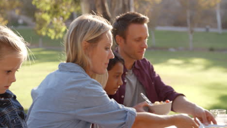 Dos-Familias-Haciendo-Un-Picnic-Juntos-En-Una-Mesa-En-Un-Parque