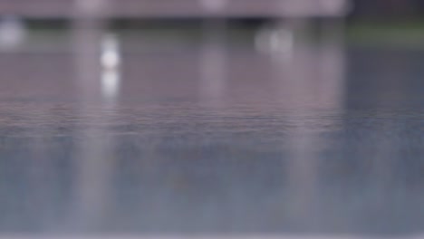 raindrops dripping on a pond. rain on the surface of the water. slow motions. cinema 4k video