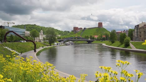 vilnius, lithuania – 29 may 2022. gediminas tower visible in the distance with yellow field flowers