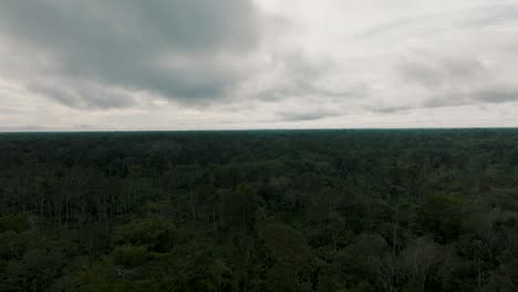 aerial forward riser over untouched dense amazon rainforest, overcast sky