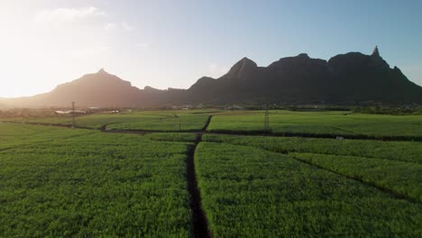 Exuberantes-Campos-Verdes-Bajo-La-Sombra-De-Peter-Ambas-Montañas-Al-Atardecer,-Vista-Aérea