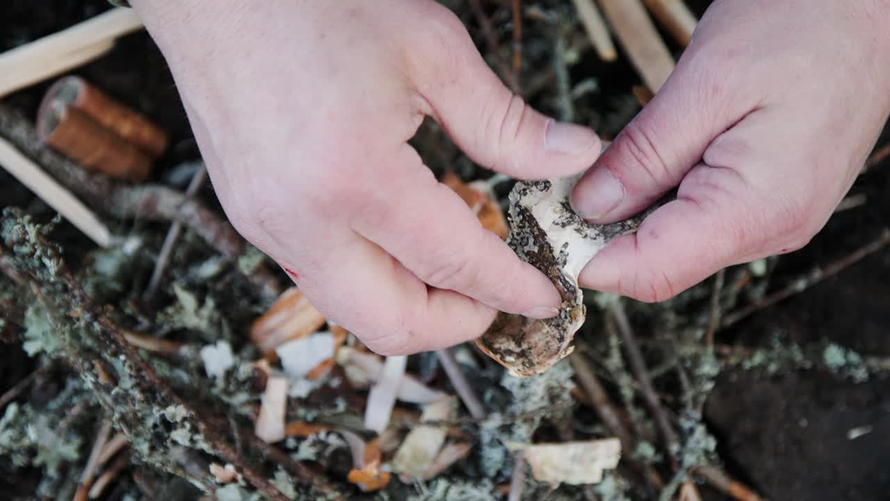 Man tearing pieces of white birchwood, preparing fire outdoor