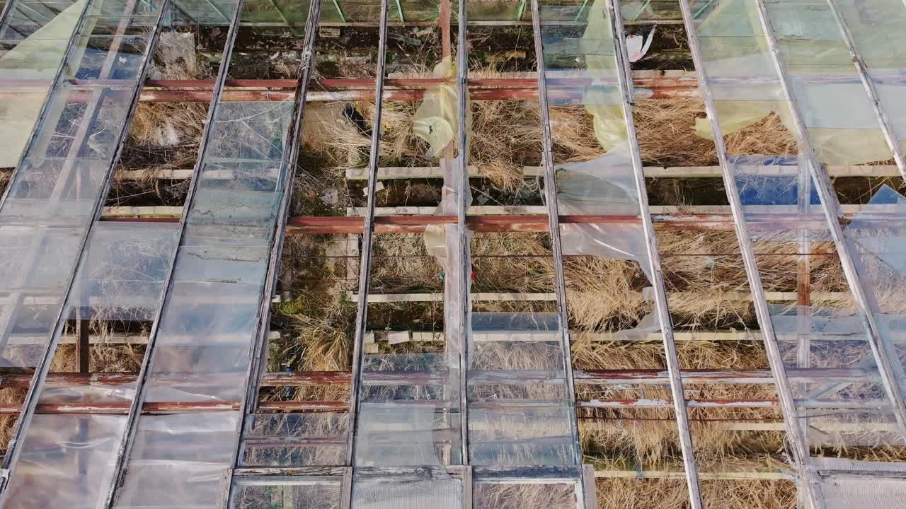 Old greenhouse with shattered windows and wild growth seen from above
