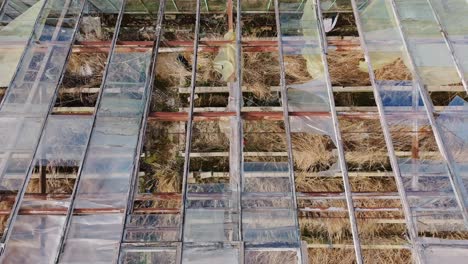 old greenhouse with shattered windows and wild growth seen from above