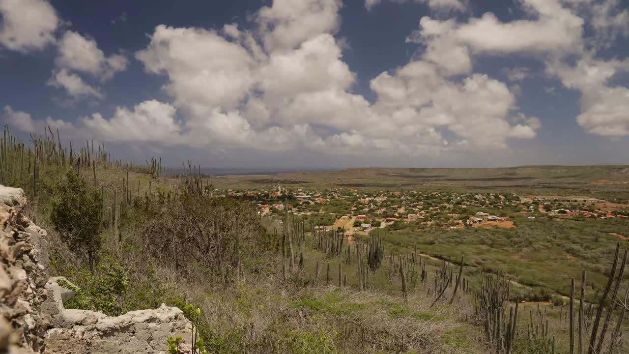 Landscape of a Town with Cactus and Clouds
