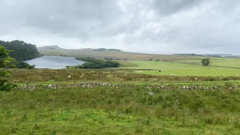 beautiful northumberland national park countryside in north england