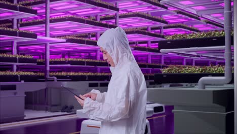 side view of asian male scientist using a tablet while standing in vertical farm