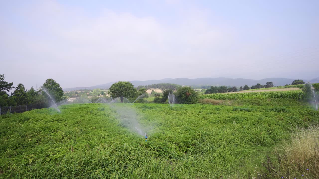 Irrigazione agricola