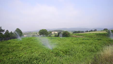 agricultural watering.