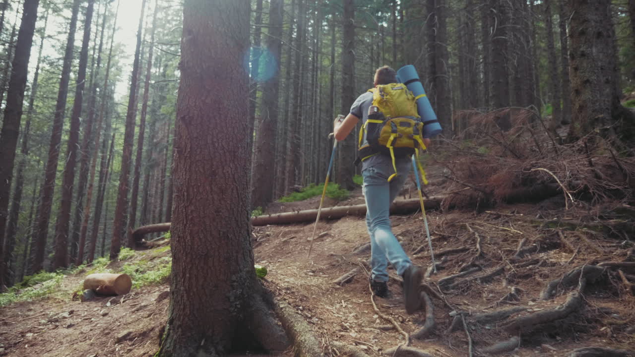 트레킹 스틱과 배낭을 든 청년이 태양이 아름답게 빛나는 언덕을 따라 올라간다