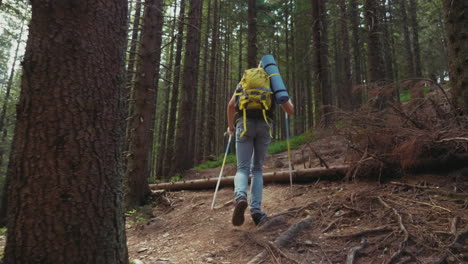 a young man with a trekking stick and a backpack rises up the hill the sun shines beautifully follow