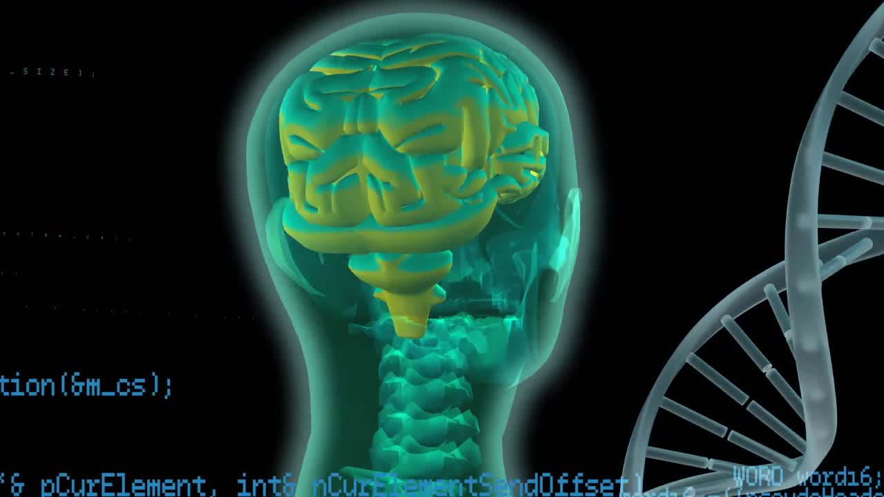 cerebro digital y hélice de adn